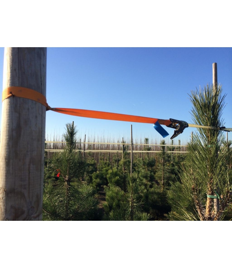 Spanratel met lus groen 65cm lang (ratel 2,5cm breed) voor koppenband