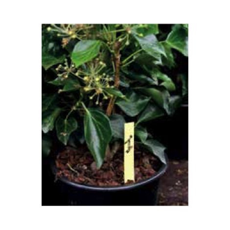 Steeketiketten soepel 1,3x8cm (0,4mm) groen/500st