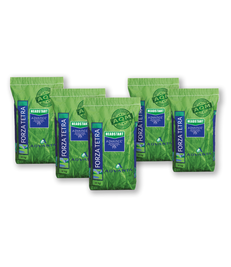 Graszaad Advanta Forza Tetra speel-en sportgazon /10kg