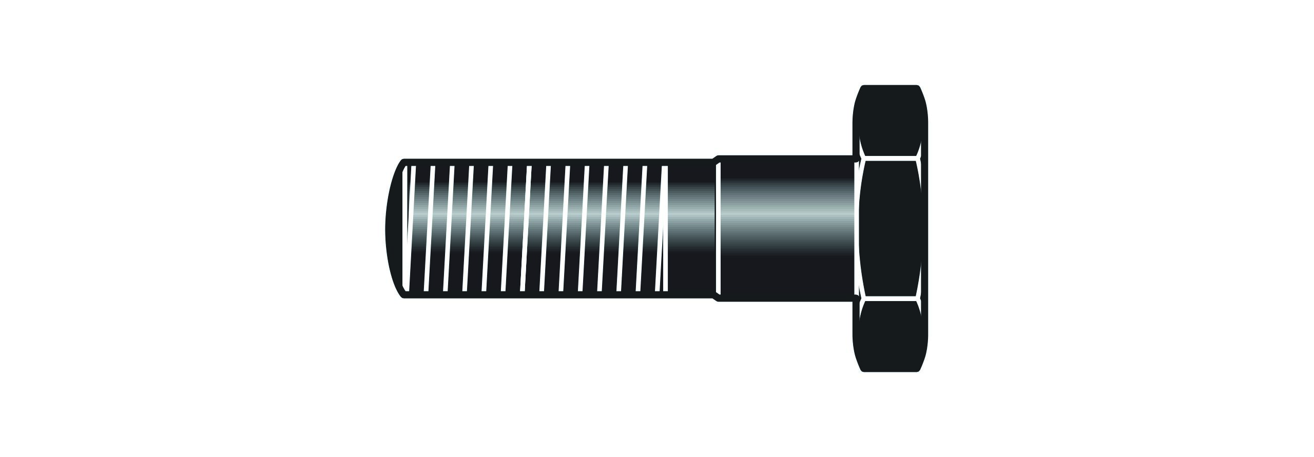Bout Felco 4 (4/8)