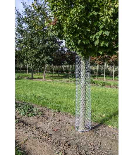 Boomharnas uit 1 st 185cmx30cm mazen van 8x2,5