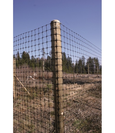 Afsluiting Recingreen 150cm x 100m - 50x50mm