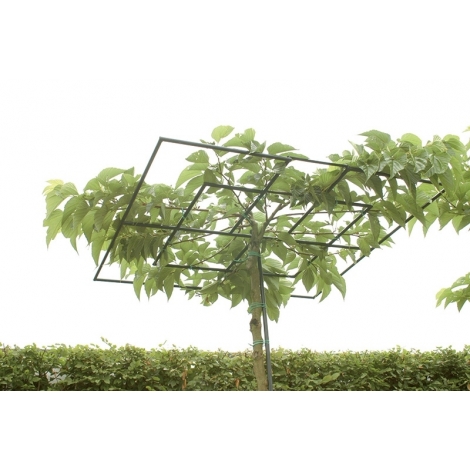 Dakvorm vierkant 200cm