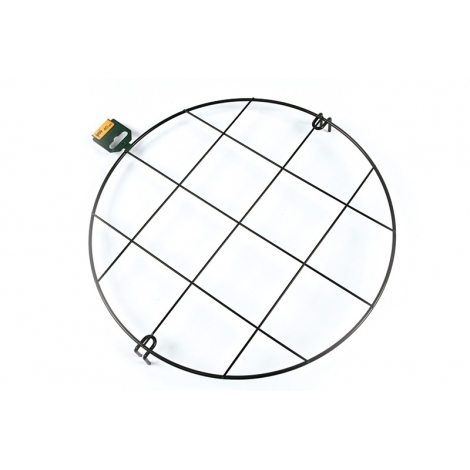 Groeiraster pinnups rond 50cm