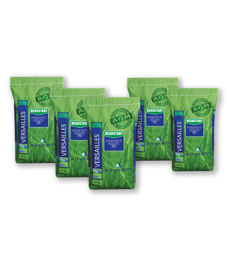 Graszaad Advanta Versailles Sier-en speelgazon /10kg